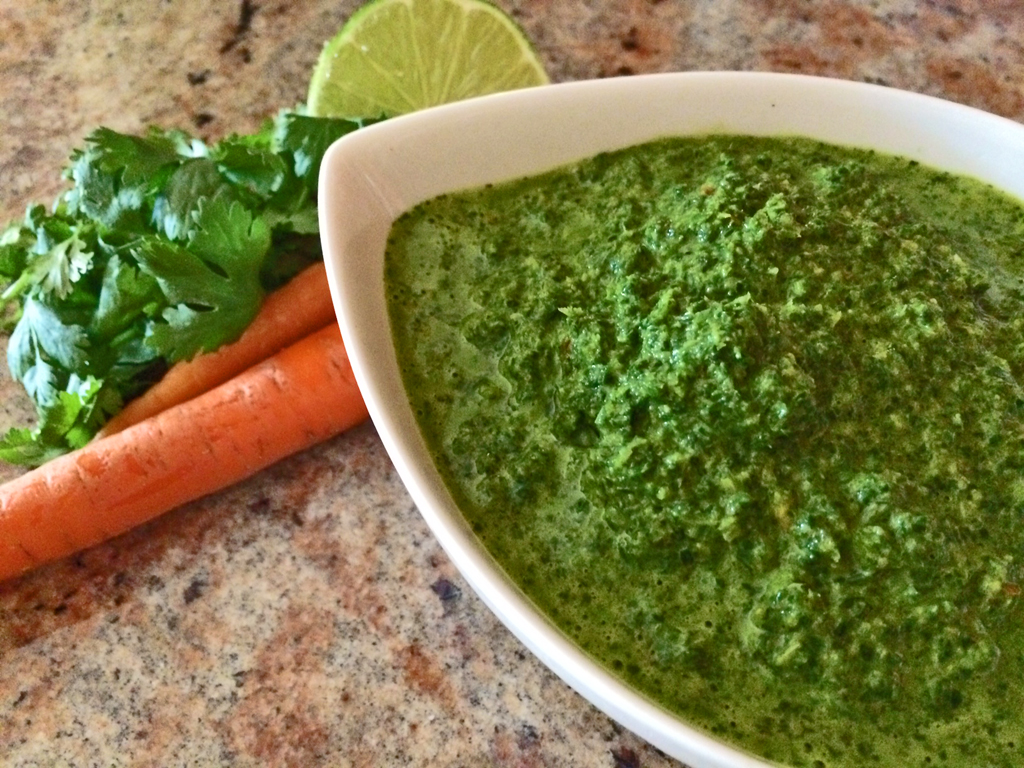 Cilantro Chimichurri Sauce